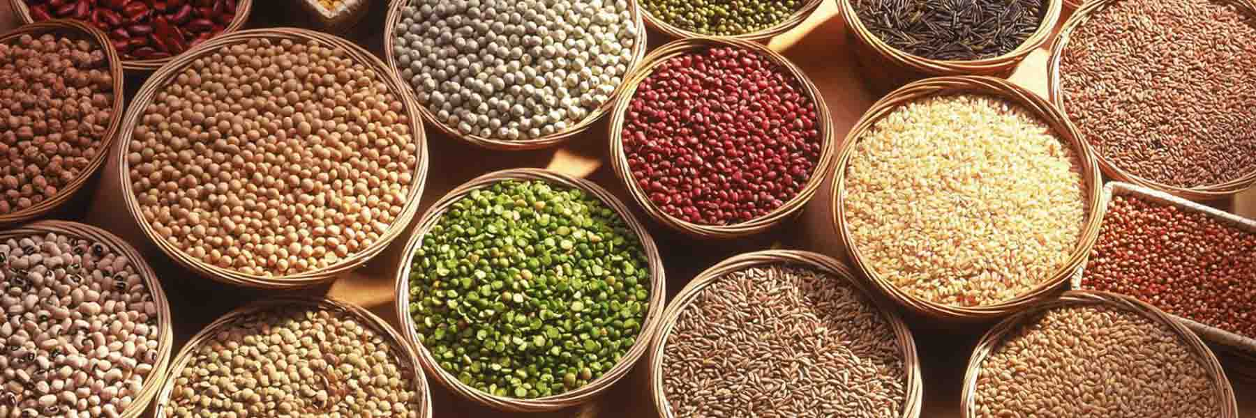 thermo fam trading plc, Ethiopian exporter, coffee exporter in Ethiopia, oil seed exporter in Ethiopia, pulses exporter in Ethiopia