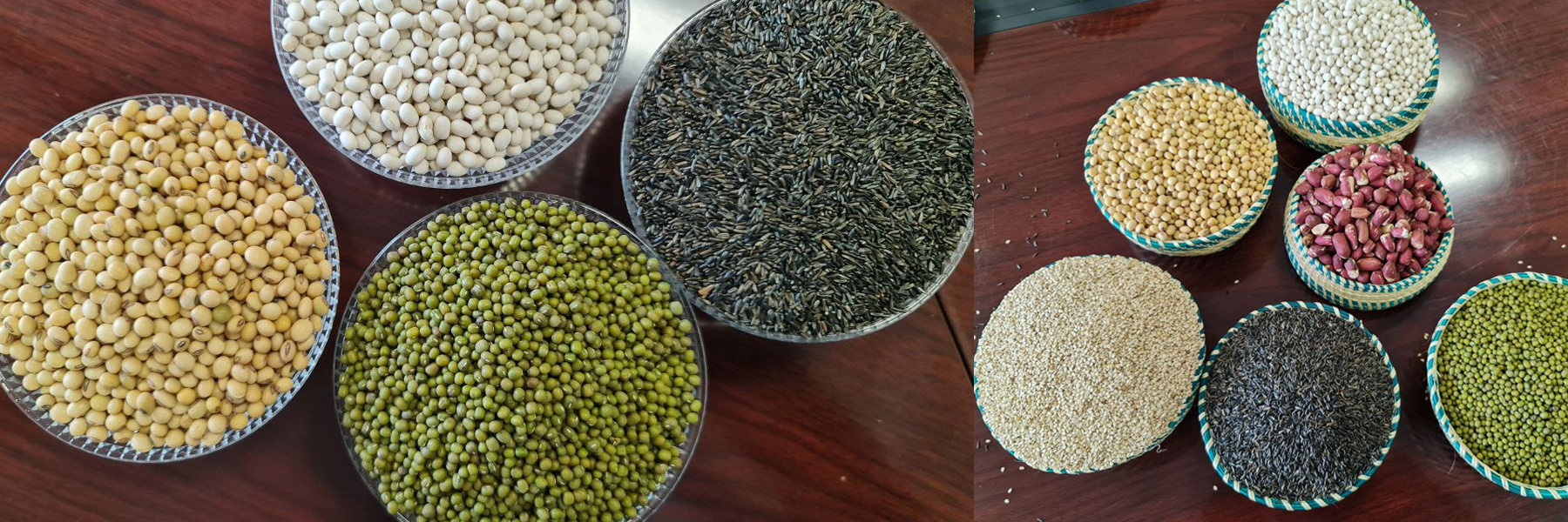 thermo fam trading plc, Ethiopian exporter, coffee exporter in Ethiopia, oil seed exporter in Ethiopia, pulses exporter in Ethiopia