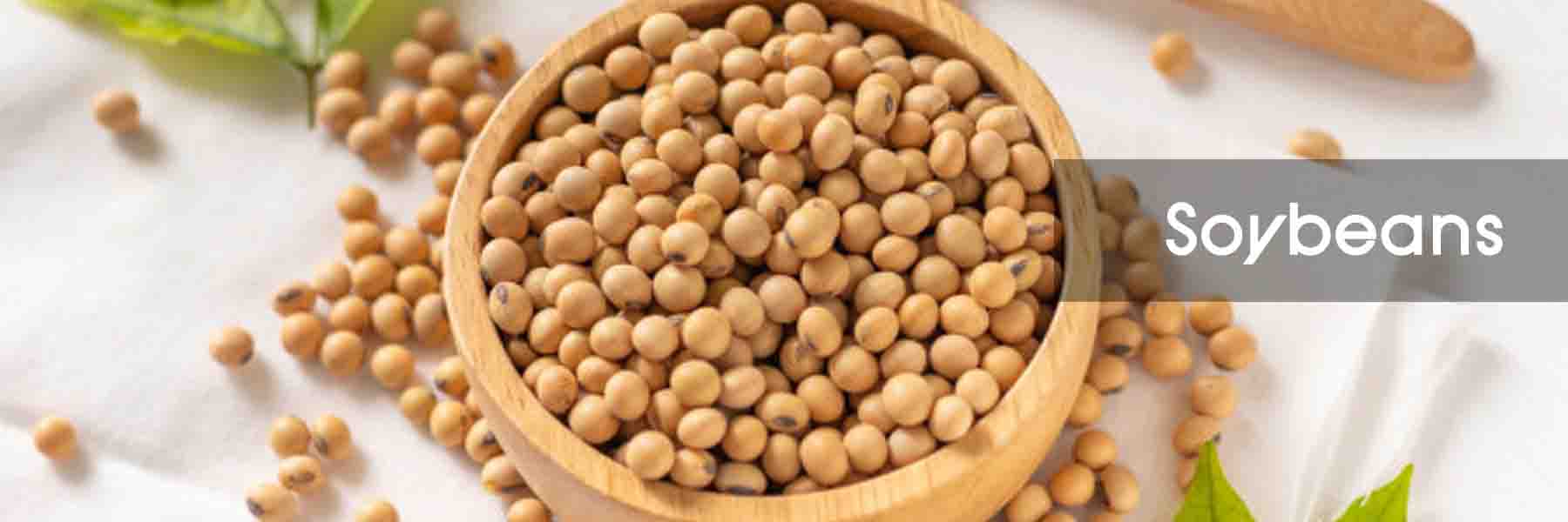 thermo fam trading plc, Ethiopian exporter, coffee exporter in Ethiopia, oil seed exporter in Ethiopia, pulses exporter in Ethiopia